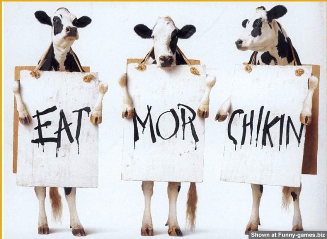 Funny+Cows+Advertisment.jpg