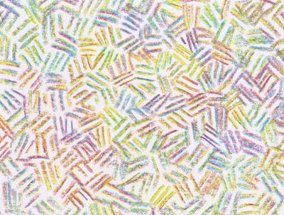 multi colored line segments filling the space
