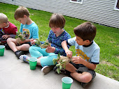 Green Education
