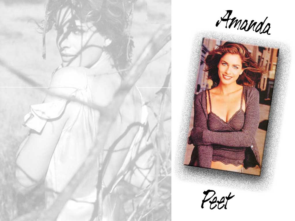 http://3.bp.blogspot.com/-vxRswZlH4uo/ThcTpgkYSlI/AAAAAAAAA6E/LmmU4Jrva4Q/s1600/Amanda_Peet56QC.jpg
