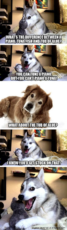 The Best Worst Jokes From Pun Husky Mandatory The Best Worst Jokes From Pun Husky Mandatory