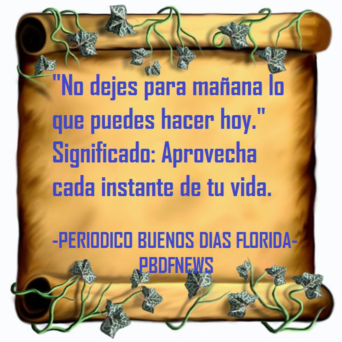 pensamientos y mas: REFRANES Y SU SIGNIFICADO