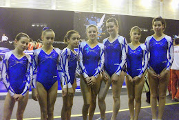Divisions Nationales 2010