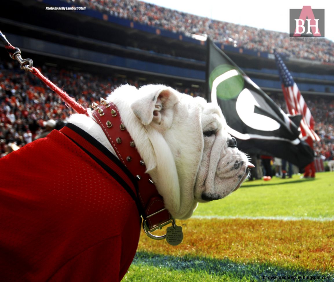 UGA Bulldogs Desktop Wallpaper UGA Bulldogs Desktop Wallpaper