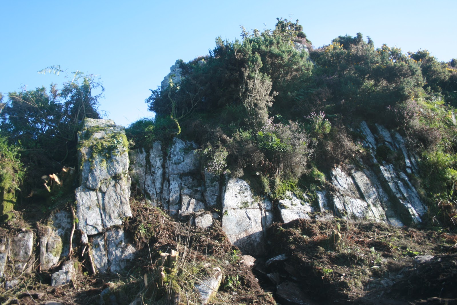 Green Man Archaeology Tour The Stonehenge Bluestone Quarry, Nevern