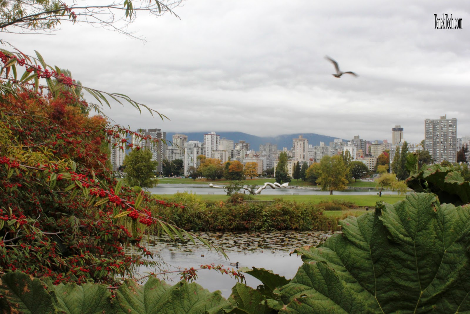 Living Vancouver Canada The Colors of Autumn in Vancouver
