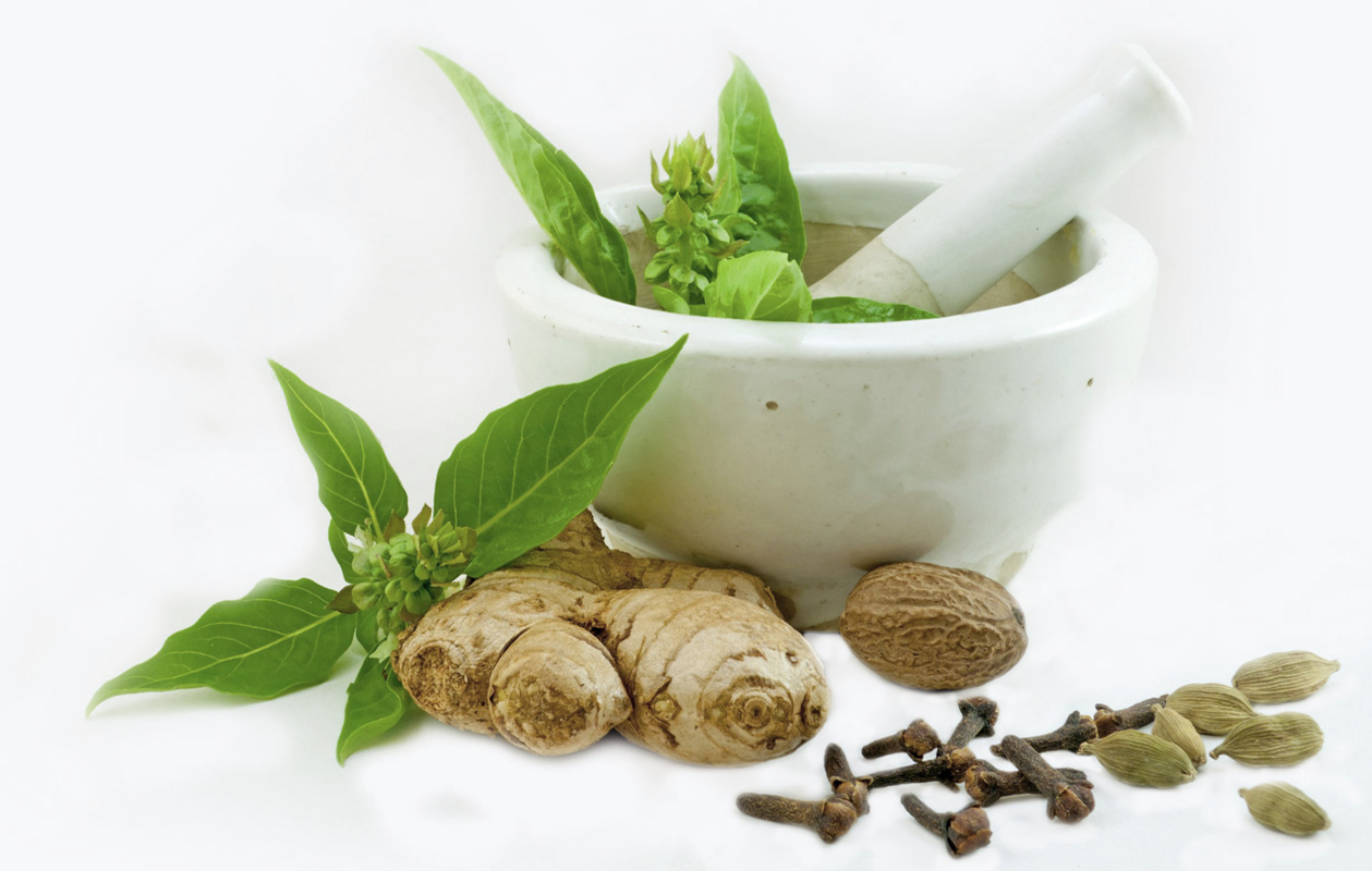 Obat Herbal Tradisional Obat Herbal Tradisional