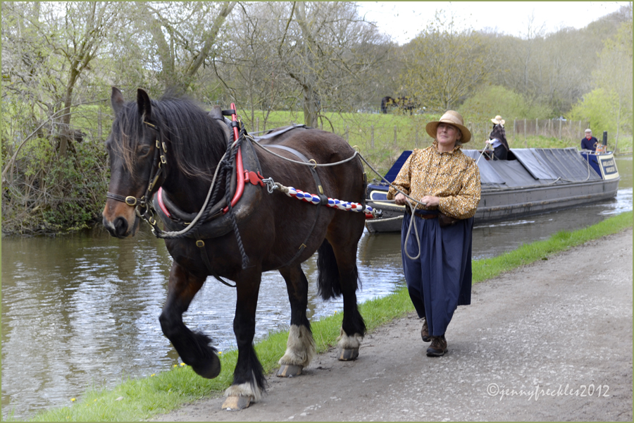 Saltaire Daily Photo Horse boating