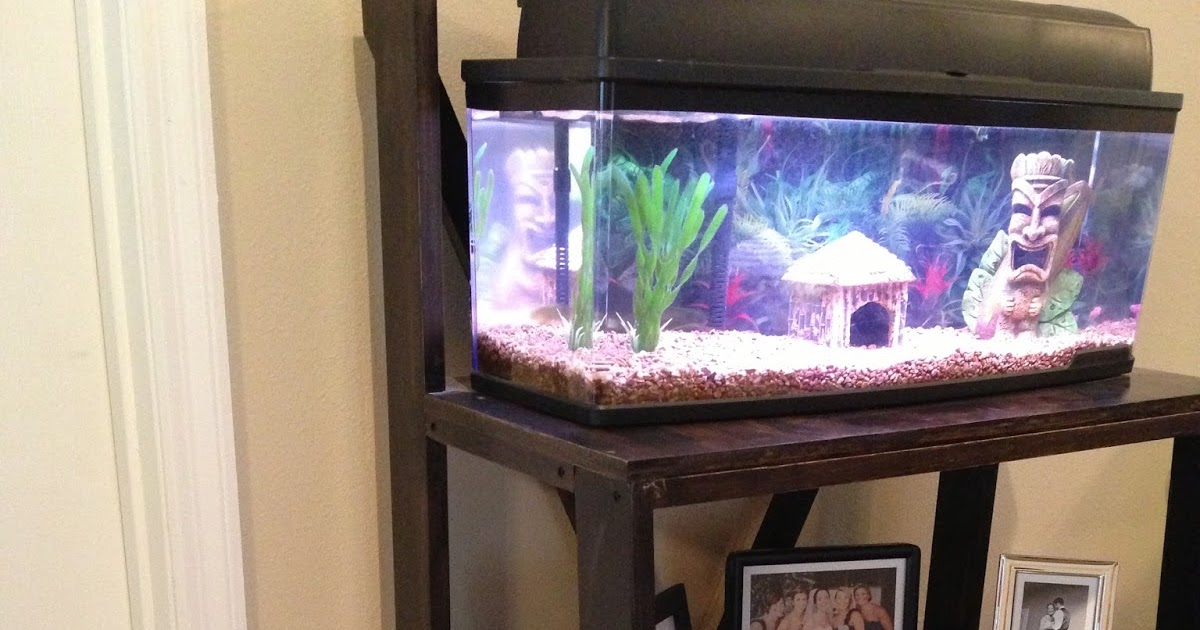 Tiny {pink} Ribbon Custom Fish Tank Bookcase