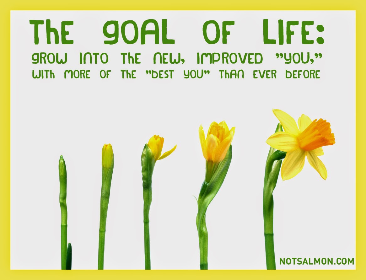 Kacamataku VisiMisi, Janji pada Diri Sendiri