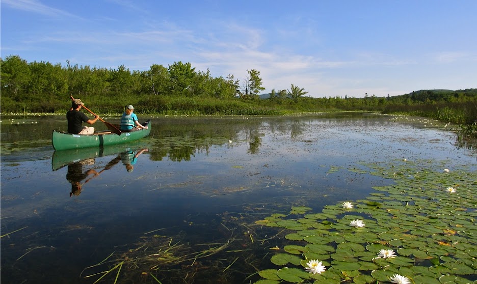 Downeast Audubon Photos