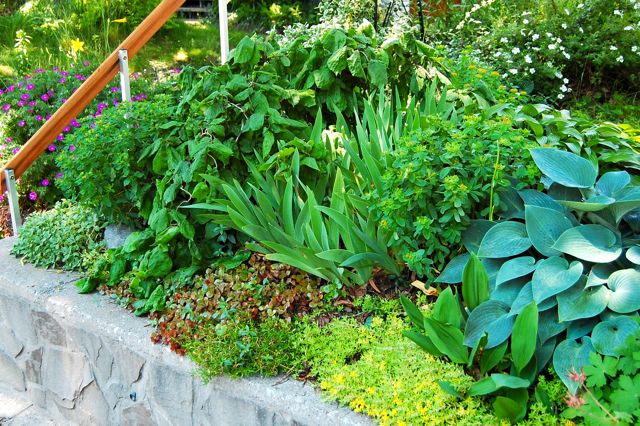 Toronto Gardens