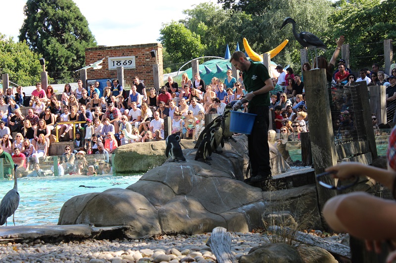 Up Close & Personal At London Zoo | Mini Adventures