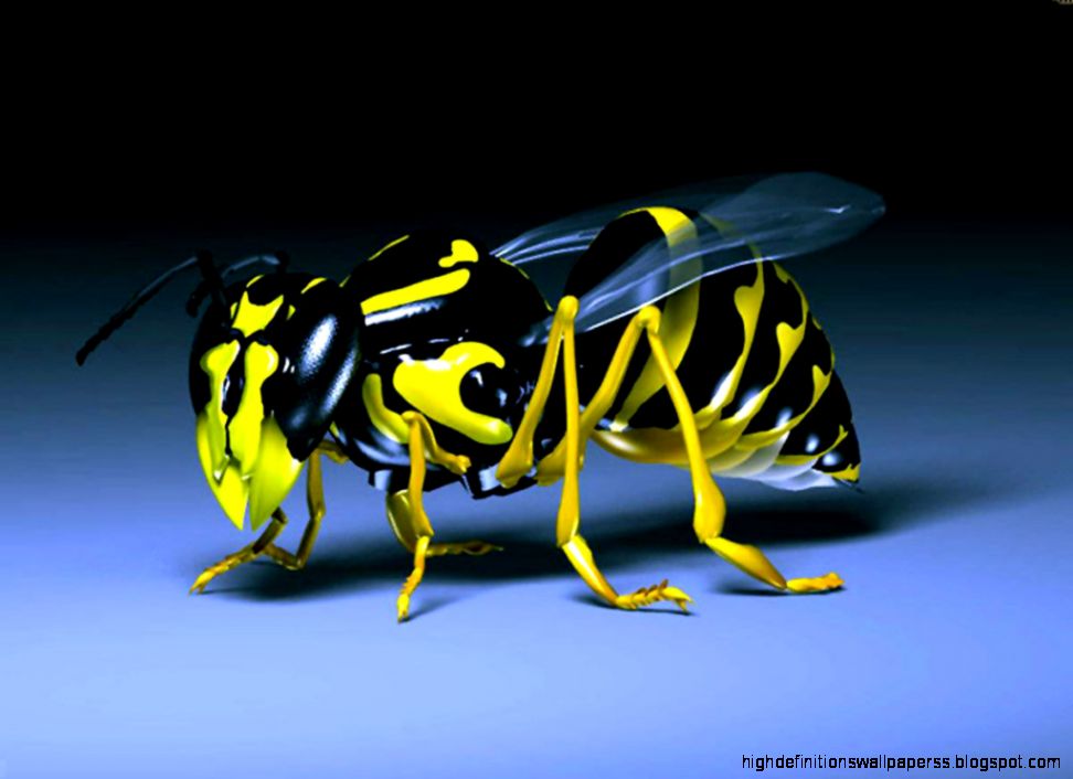 3D Bee Wallpaper Desktop 13341 Wallpaper 3D Bee Wallpaper Desktop 13341 Wallpaper