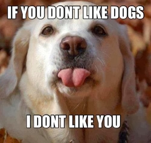 If You don't Like Dogs