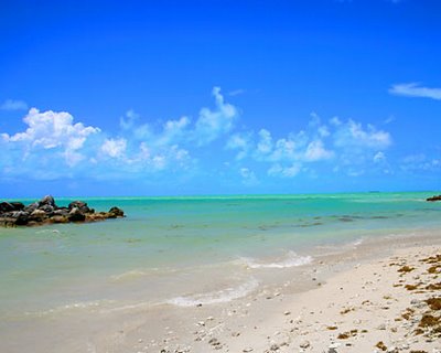 Beaches florida nice vacation north america beach fl miami south icon near coast most water pretty Vacation images-vacation wallpapers - ONLINE NEWS ICON