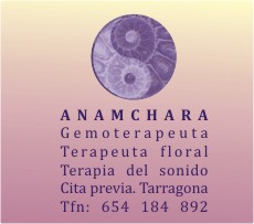 http://centroanamchar.blogspot.com.es/