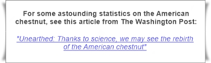 https://www.washingtonpost.com/lifestyle/food/unearthed-thanks-to-science-we-may-see-the-rebirth-of-the-american-chestnut/2014/11/19/91554356-6b83-11e4-a31c-77759fc1eacc_story.html