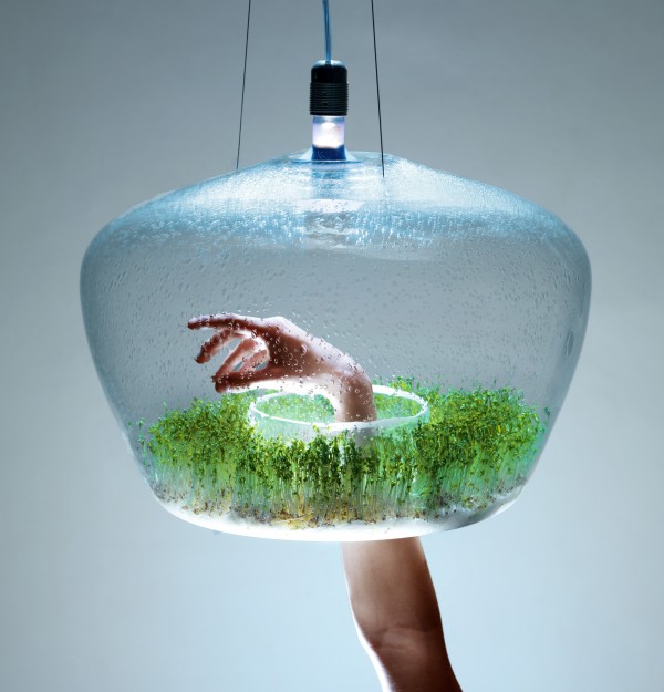 Glass Greenhouse Lamp by
