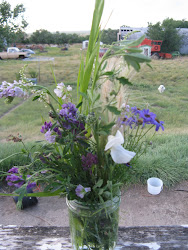 Wildflowers