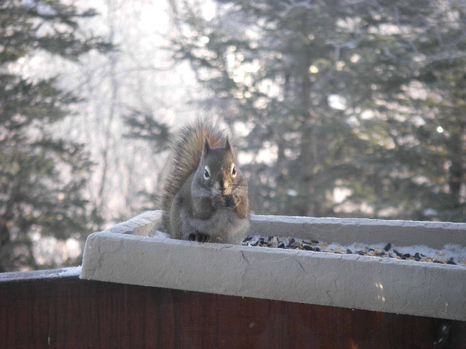 House For Sale MatSu Valley Alaska