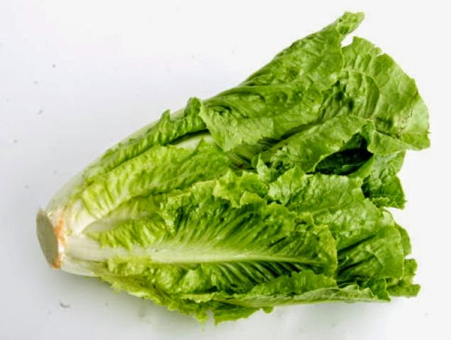 Cara Menanam Salad Skeletonace