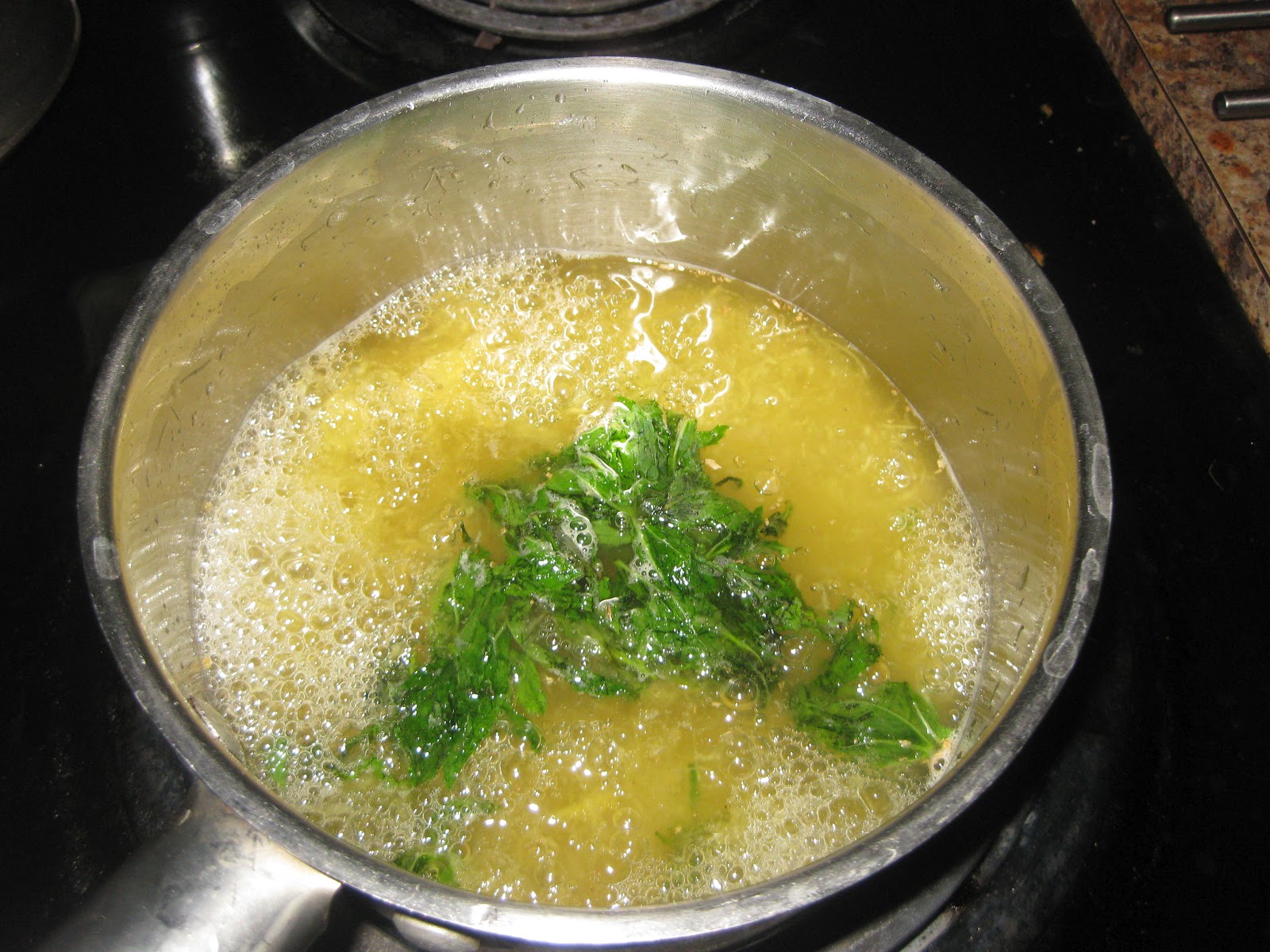 Nalini'sKitchen Mint and Ginger Flavored Lemonade