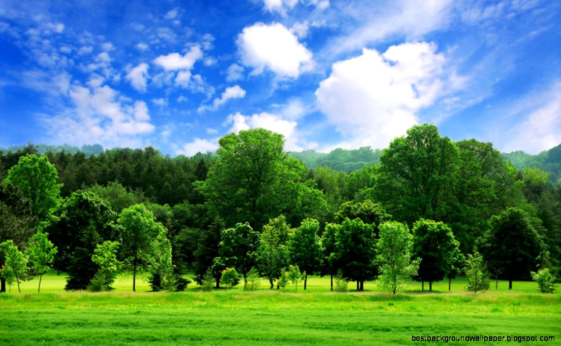 11 nature photography green 11 nature photography green