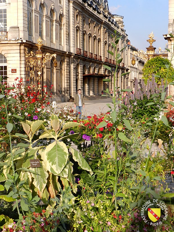 NANCY (54) - Place Stanislas - jardin éphémère 2014
