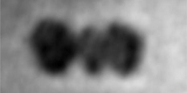 Marco's Box I/O 2x43 1