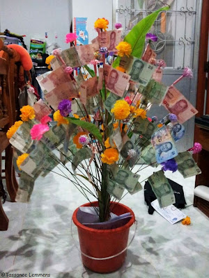 Money tree for the school