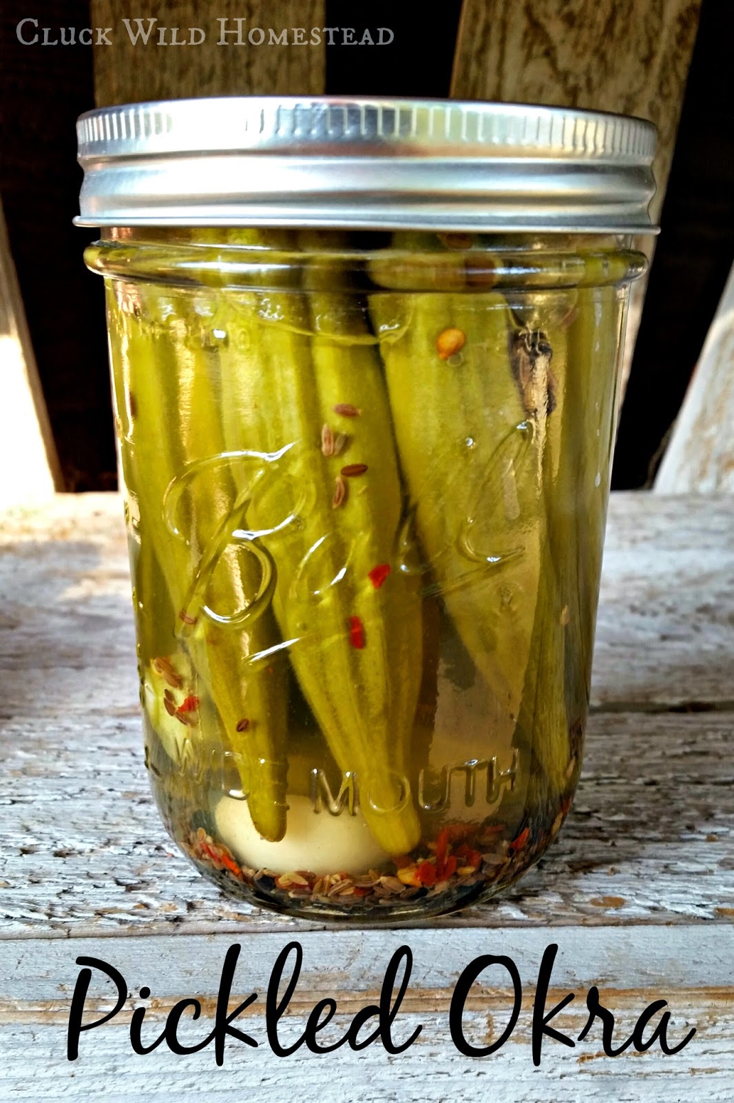 Cluck Wild Homestead Pickled Okra