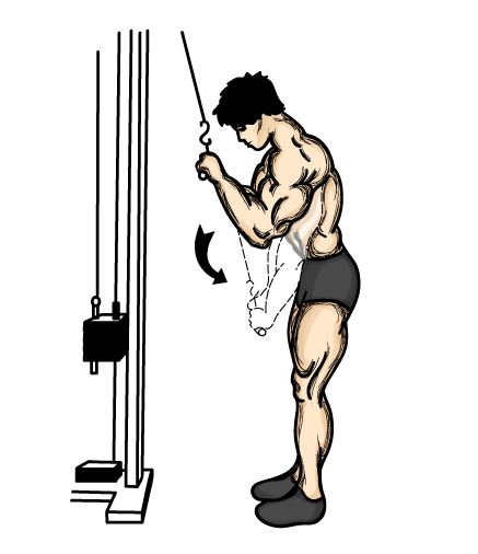 sokakta vucut gelistirme