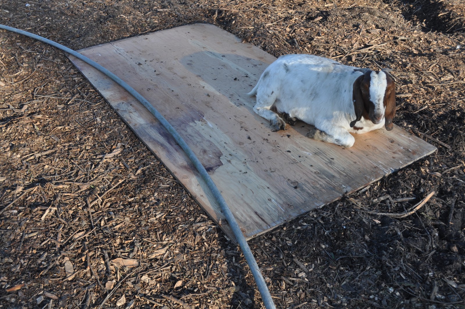 meat Hoophouse bending conduit, attempt 1