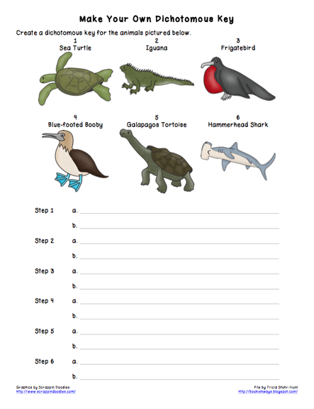 Turtles - Be the Animal with Rick Chrustowski - UWSSLEC LibGuides at