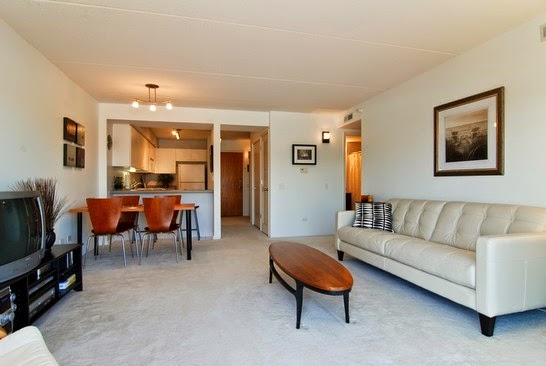 The Chicago Real Estate Local: New for sale! Chic, modern urban ...