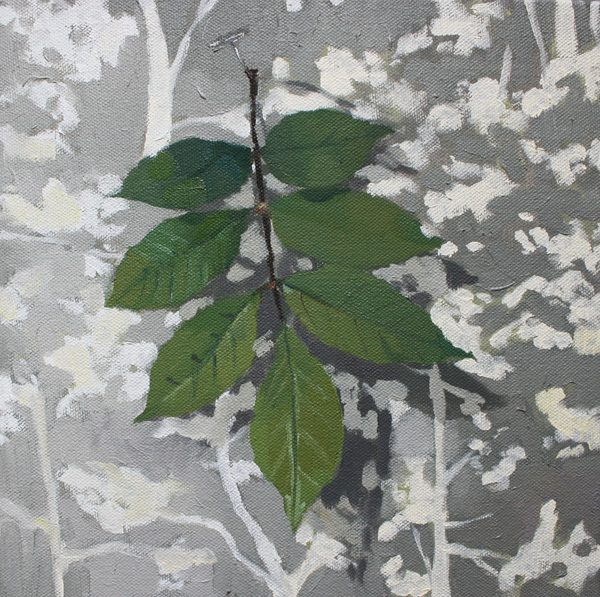 black ash leaves