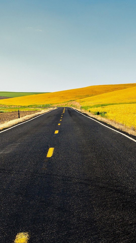 Country Road Yellow Hills Android Wallpaper