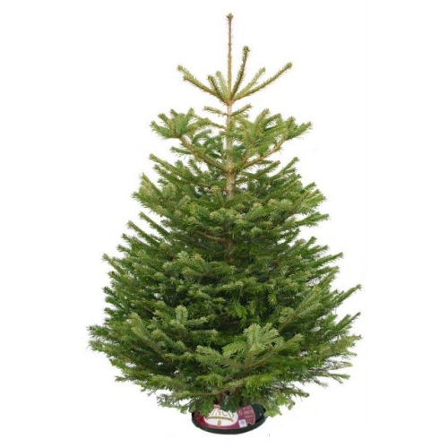 Christmas Gift Giveaway 30 WIN a Christmas Tree The Mini Mes and Me
