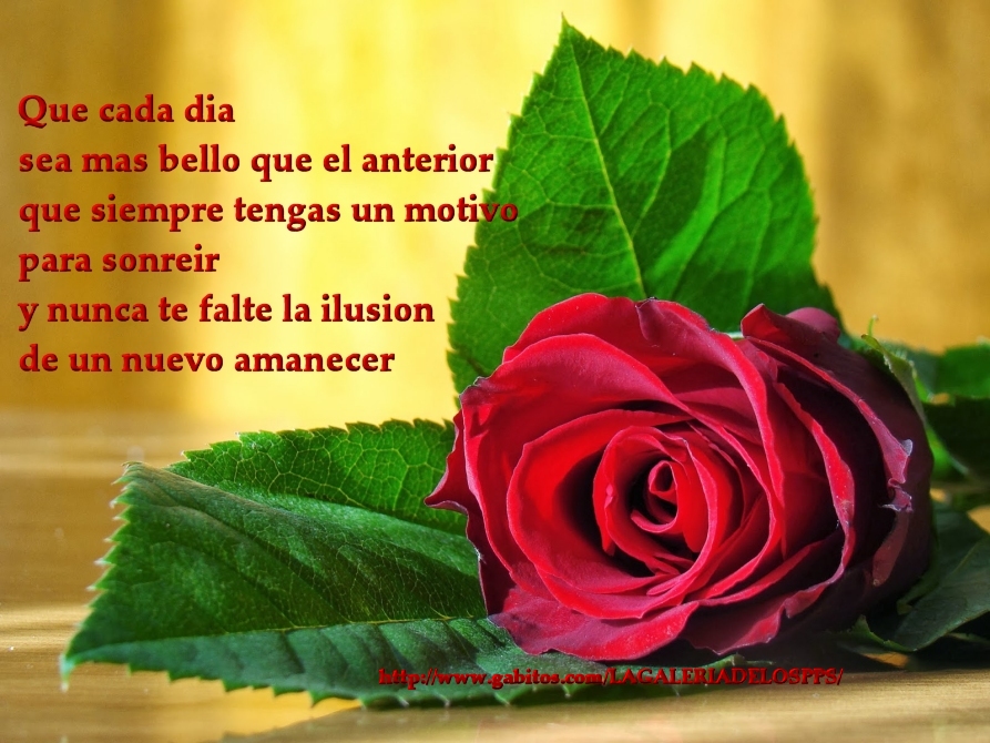 Resultado de imagen para marya suescun