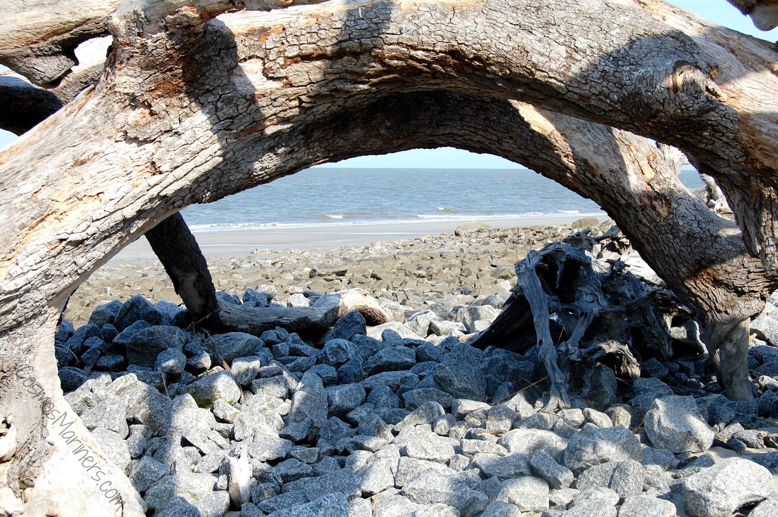 A Hauntingly Beautiful Spot at the Edge of the World Driftwood Beach, Jekyll Island,