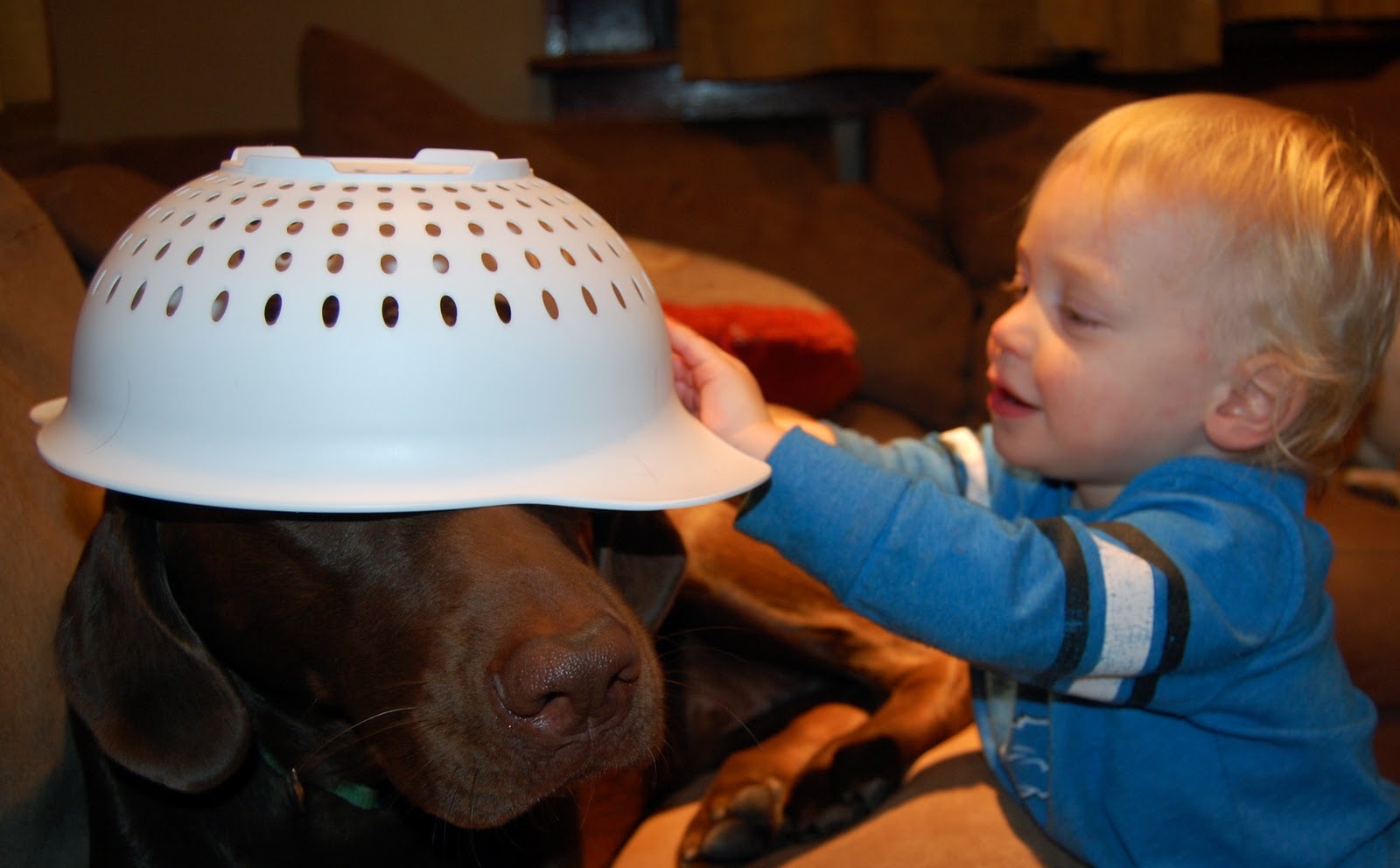 Our Becker Blog Colander Hat