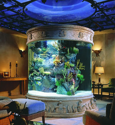 Kool Gadgets: Acuario en la sala