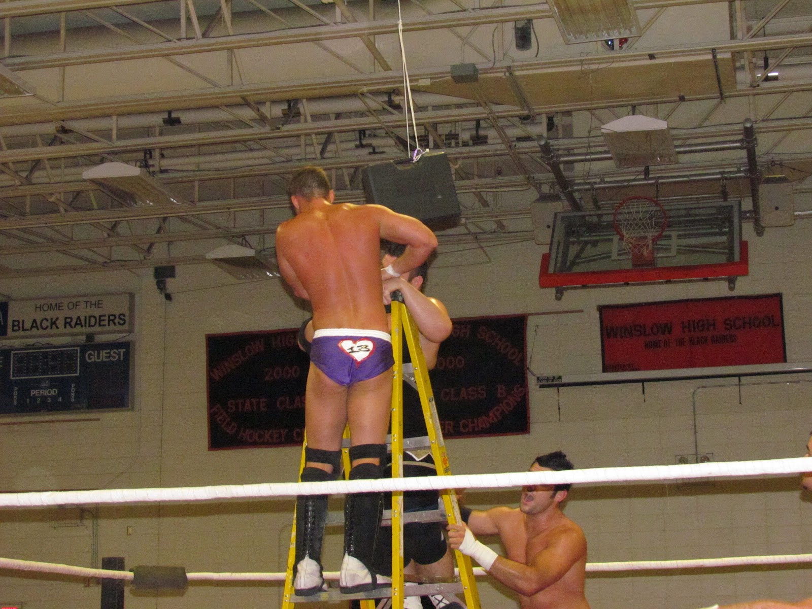 Pro wrestling thesis picture