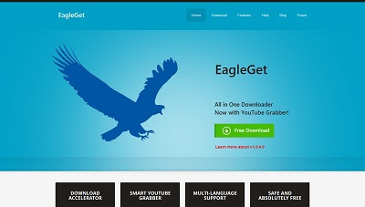 EagleGet, Download Manager