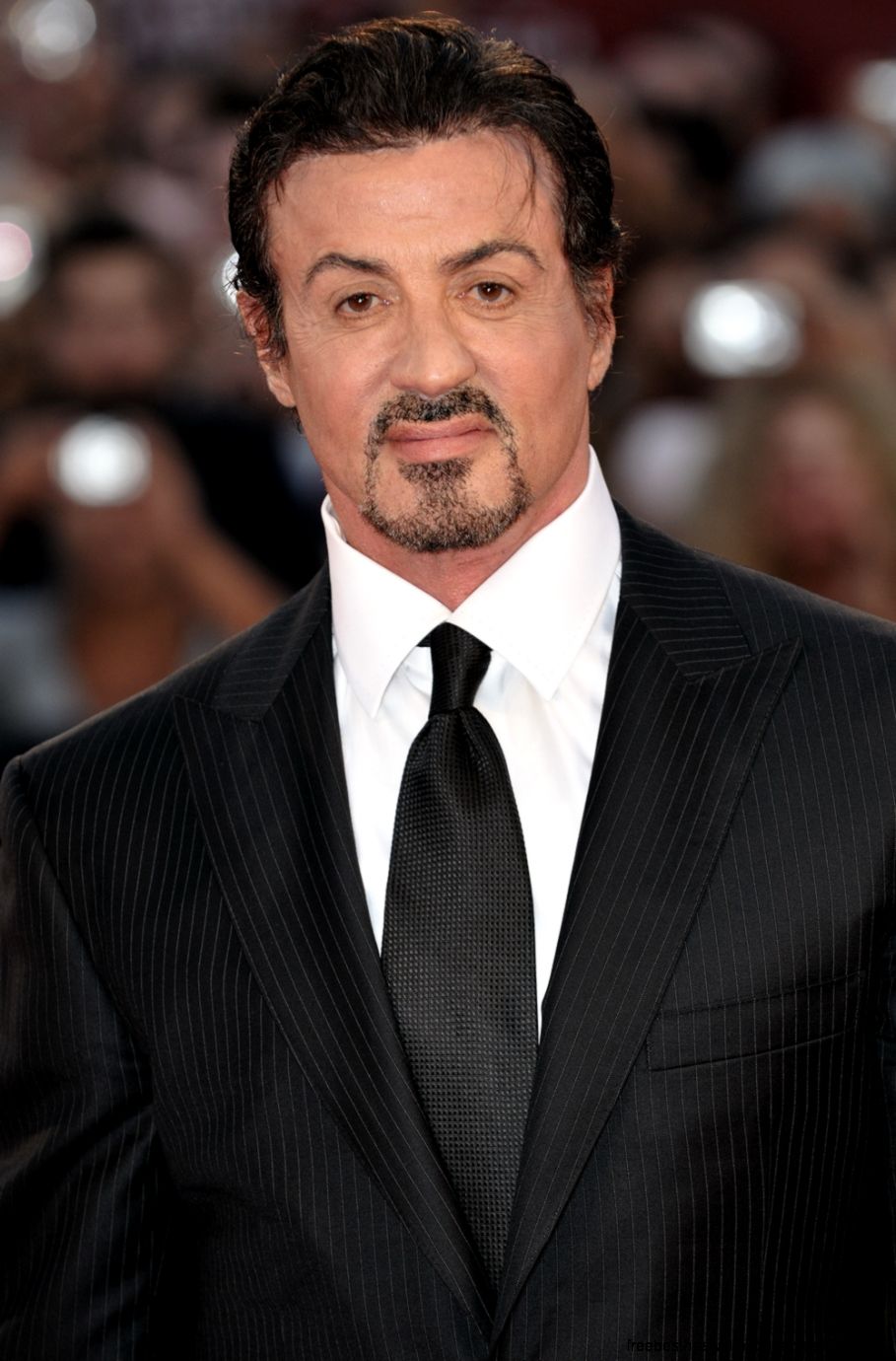 Sylvester Stallone Wikipedia the free encyclopedia Sylvester Stallone Wikipedia the free encyclopedia