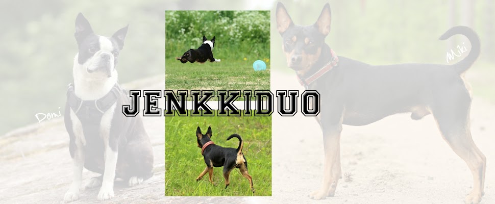 Jenkkiduo