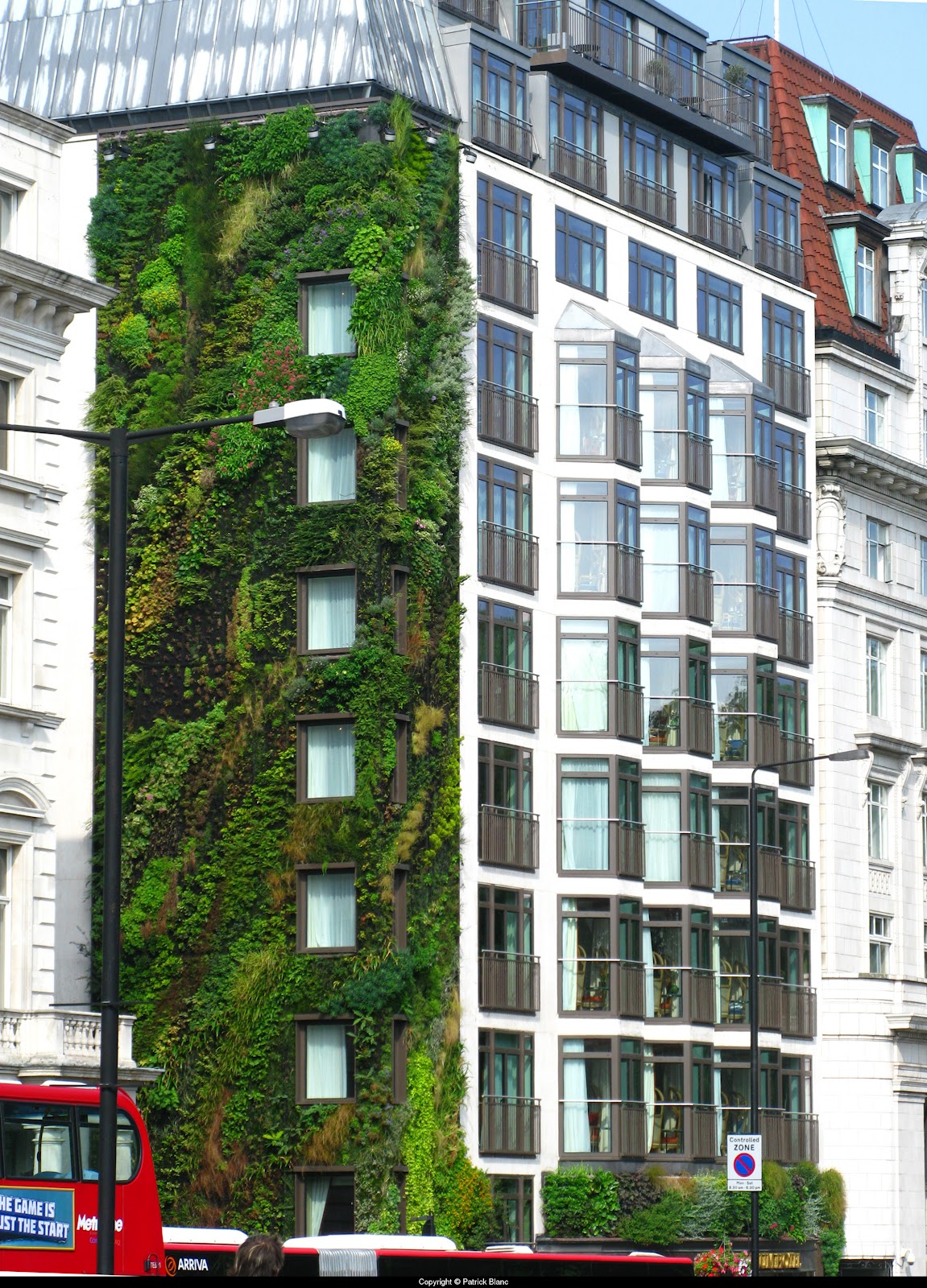 Seek an Idea Green Walls