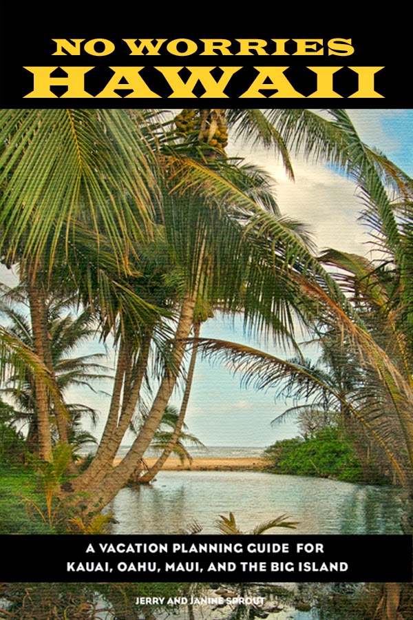 Trailblazer Hawaii Find Your Dream No Worries Hawaii Now An Ebook