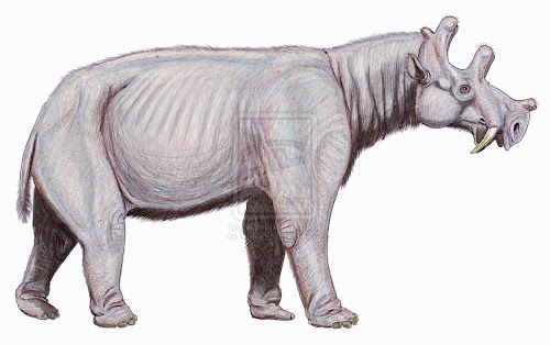 Dinocerata Eobasileus